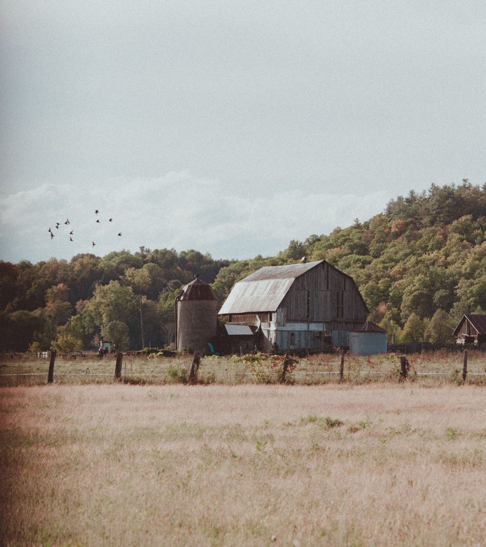 L'ÎleduGrandCalumet MRC de Pontiac